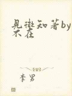 见微知著by音不在