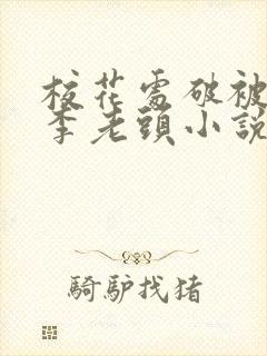 校花处破被灌满李老头小说