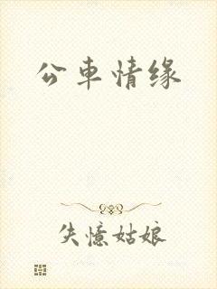 公车情缘