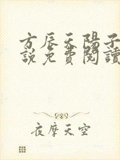 方辰天阳子的小说免费阅读