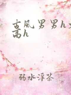 古风男男h文肉高h