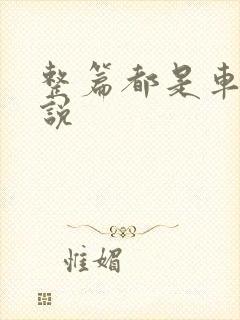 整篇都是车的小说