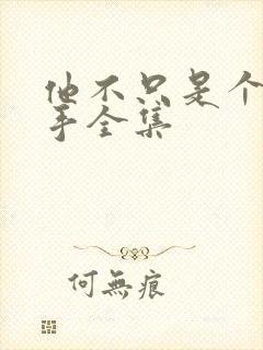 他不只是个狙击手全集