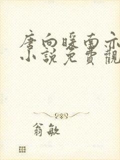 唐向暖南亦琛的小说免费观看