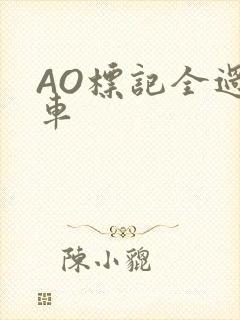 AO标记全过程车