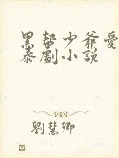 黑帮少爷爱上我泰剧小说