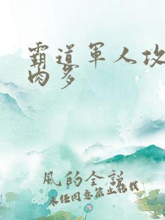 霸道军人攻现代肉多