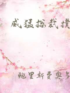 威猛总裁扑娇妻