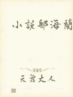 小说那海兰珠