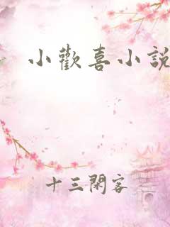 小欢喜小说