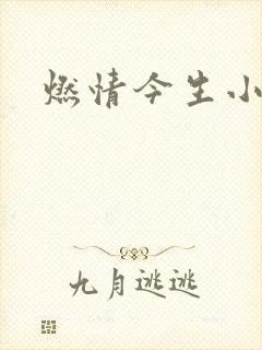 燃情今生小说