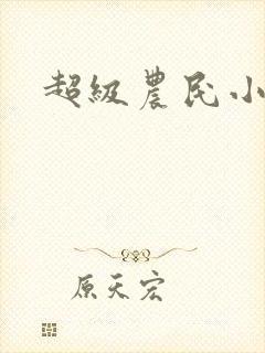 超级农民小说