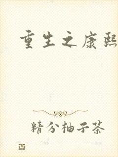 重生之康熙元后