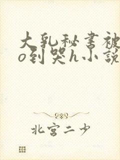 大乳秘书被cao到哭h小说