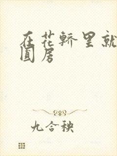 在花轿里就开始圆房