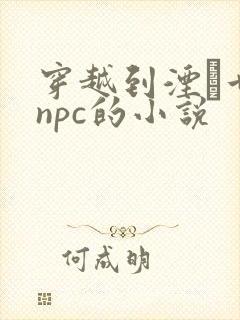 穿越到湮婸世界npc的小说