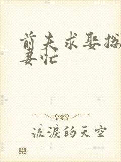 前夫求娶总裁追妻忙