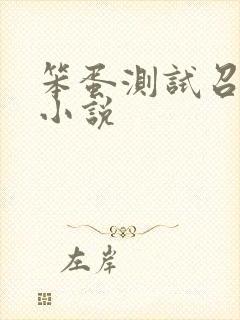 笨蛋测试召唤兽小说