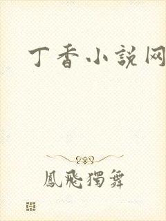 丁香小说网