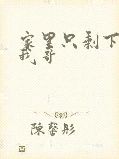 家里只剩下我和我哥