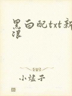 黑白配txt新浪