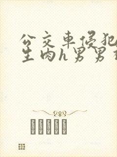 公交车侵犯小男生肉h男男视频