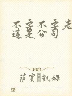 不要不要老板别这是公司