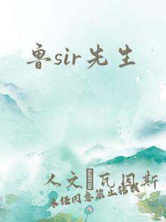 鲁sir先生