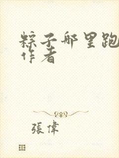 粽子哪里跑小说作者