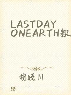 LASTDAYONEARTH粗暴