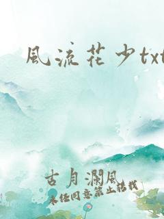 风流花少txt