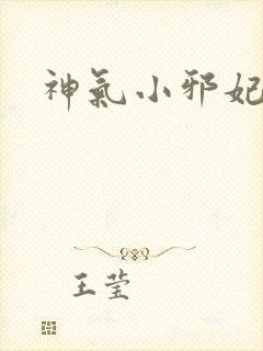 神气小邪妃