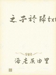 之子于归txt