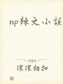 np辣文小说