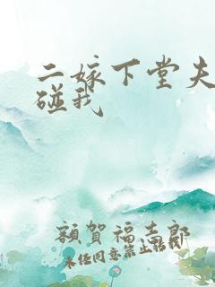 二嫁下堂夫君别碰我