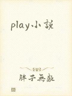 play小说
