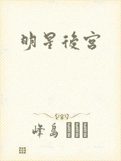 明星后宫