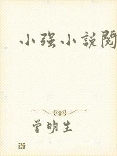 小强小说阅读网