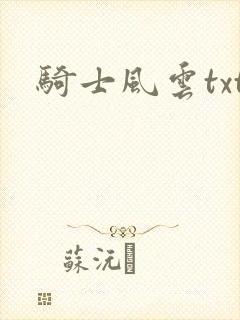 骑士风云txt