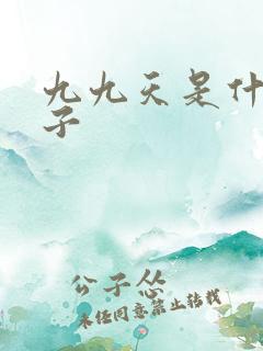 九九天是什么日子