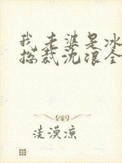 我老婆是冰山女总裁沈浪全集