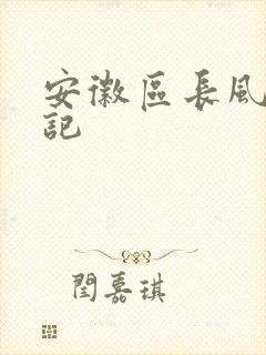 安徽区长风流日记