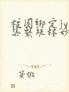 校园绑定jy收集系统林妙妙