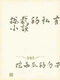 总裁的私有宝贝小说