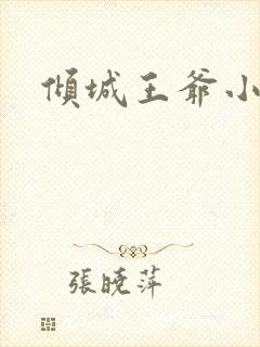 倾城王爷小小妃