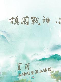 镇国战神 小说