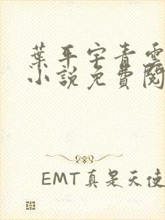 叶平宇青云直上小说免费阅读