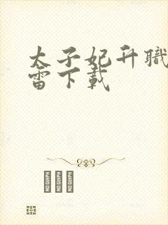 太子妃升职记迅雷下载