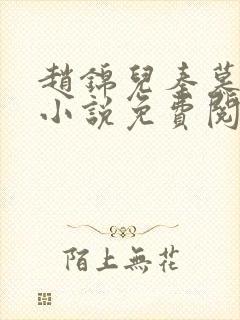 赵锦儿秦慕修的小说免费阅读全文