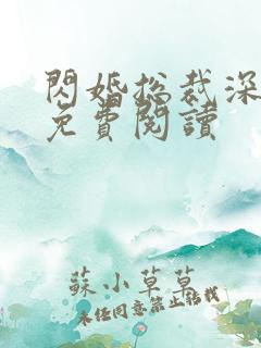 闪婚总裁深深宠免费阅读